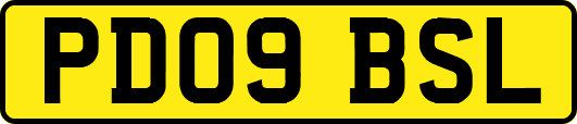 PD09BSL