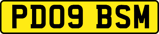 PD09BSM