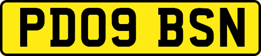 PD09BSN