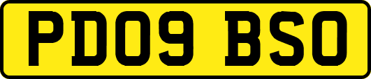PD09BSO