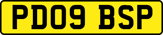 PD09BSP