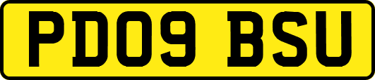PD09BSU