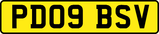 PD09BSV