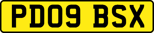 PD09BSX