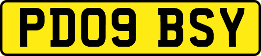 PD09BSY