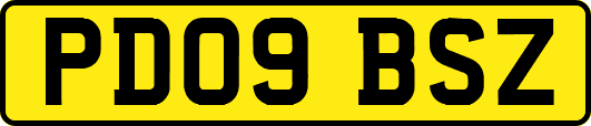 PD09BSZ
