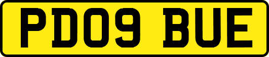 PD09BUE