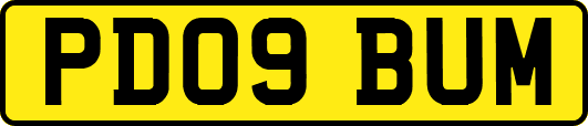 PD09BUM