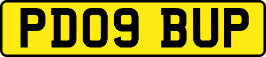 PD09BUP
