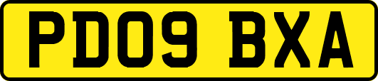 PD09BXA