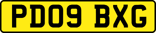PD09BXG