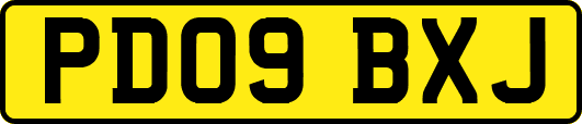 PD09BXJ
