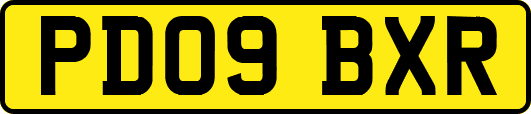 PD09BXR