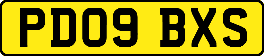 PD09BXS