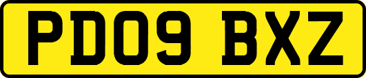 PD09BXZ
