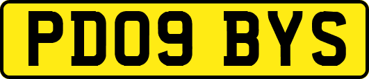 PD09BYS