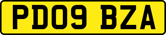 PD09BZA