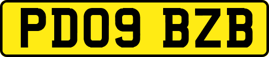 PD09BZB