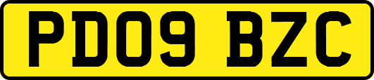 PD09BZC