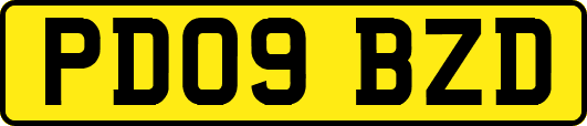 PD09BZD