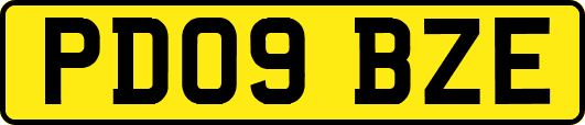 PD09BZE