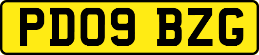 PD09BZG