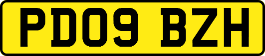 PD09BZH