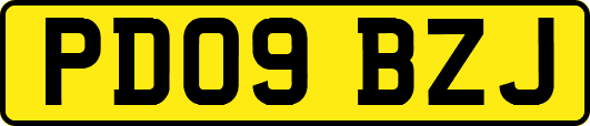 PD09BZJ