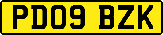PD09BZK