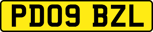 PD09BZL