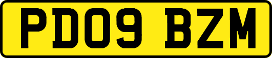 PD09BZM