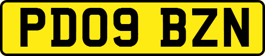 PD09BZN