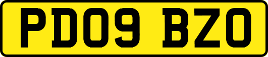 PD09BZO