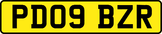 PD09BZR