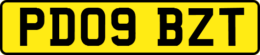 PD09BZT