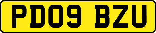 PD09BZU