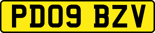 PD09BZV
