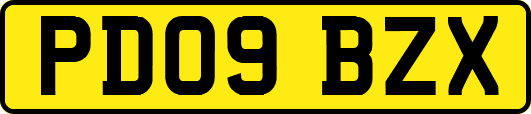 PD09BZX
