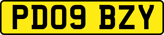 PD09BZY
