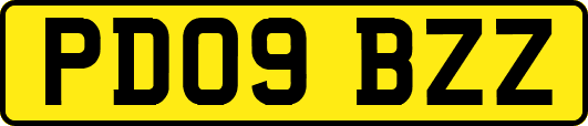PD09BZZ
