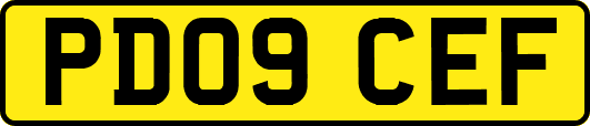 PD09CEF