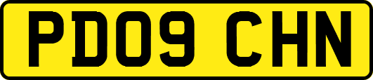 PD09CHN