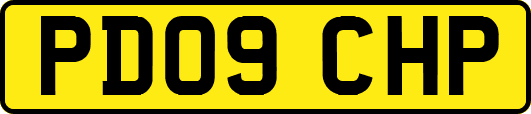 PD09CHP