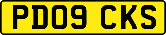 PD09CKS
