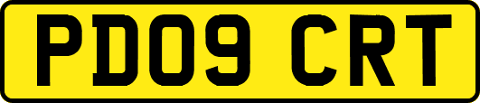 PD09CRT