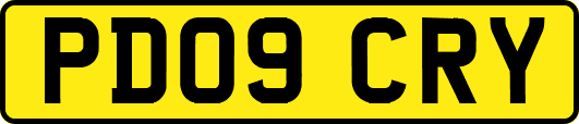 PD09CRY
