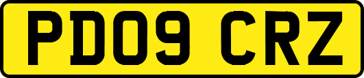 PD09CRZ