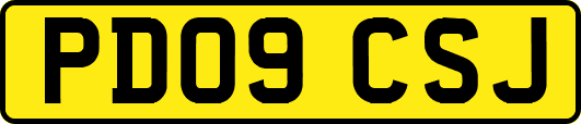 PD09CSJ