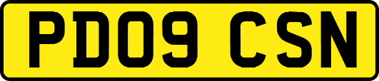 PD09CSN