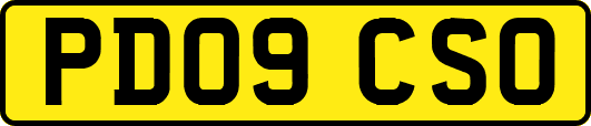 PD09CSO